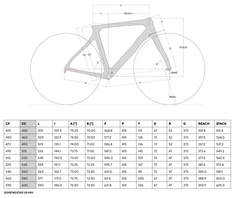 2021 Pinarello Paris Geometry