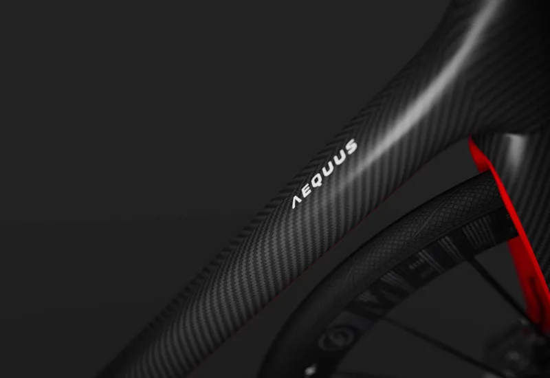 SWI AEQUUS SL Frame Kit : CLASSIC-5