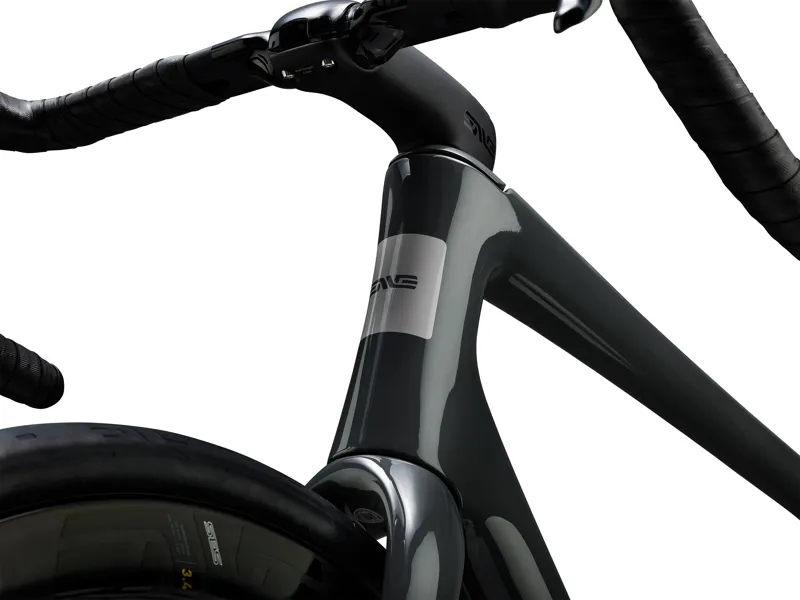 Enve FRAY All-Road Frame Kit : Ash-9