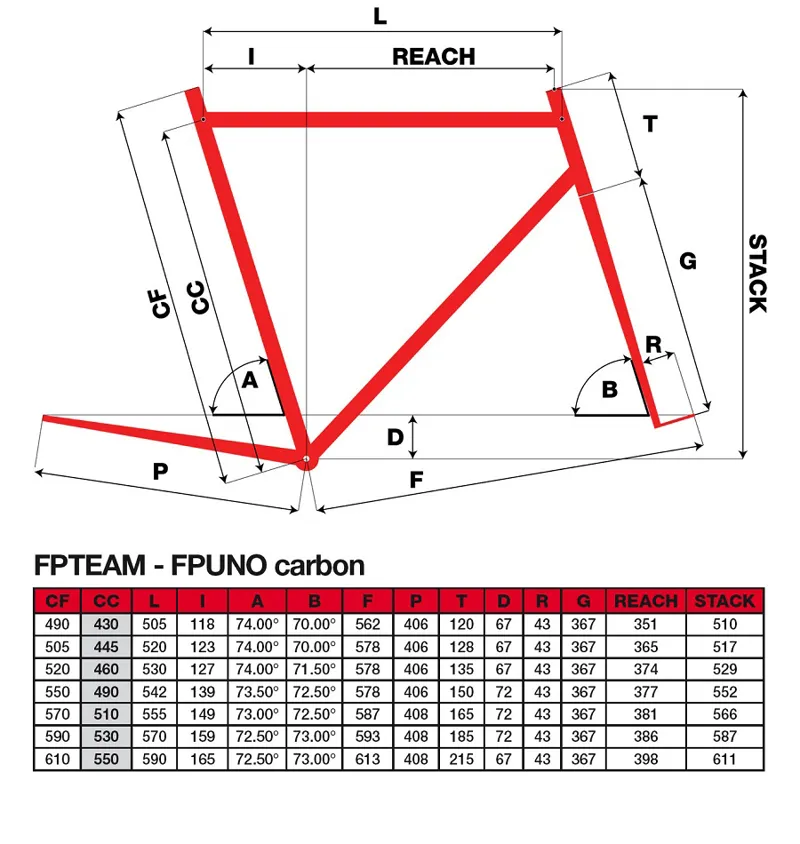 Pinarello FP Team Geometry