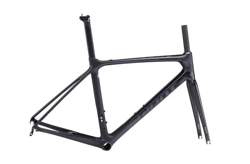 giant tcr advanced frame