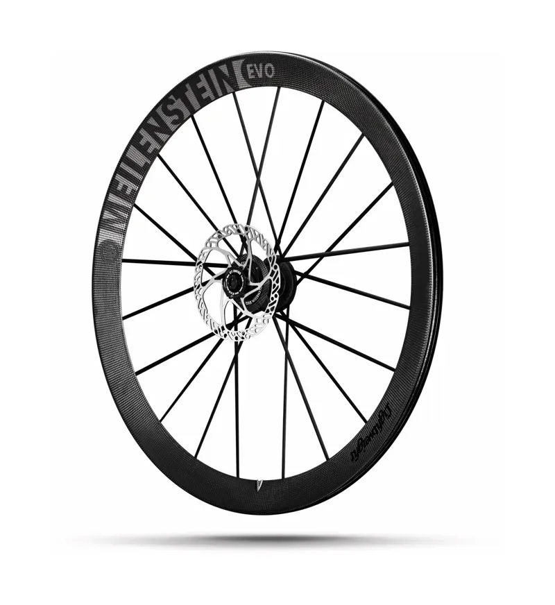 Lightweight Meilenstein 24 Evo Disc Brake Road Wheelset : Schwartz Ed.-3