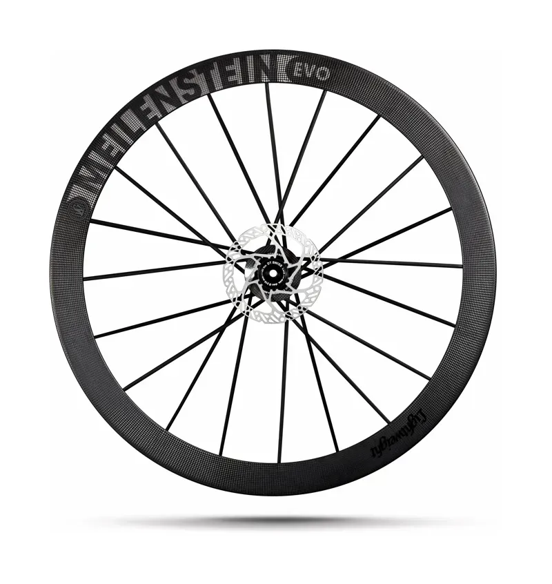 Lightweight Meilenstein 24 Evo Disc Brake Road Wheelset : Schwartz Ed.-1