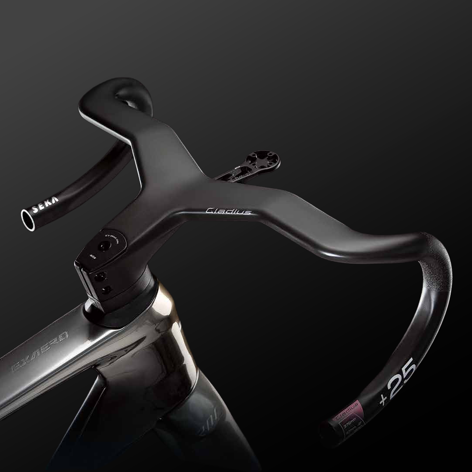 Gladius ALTA Cockpit