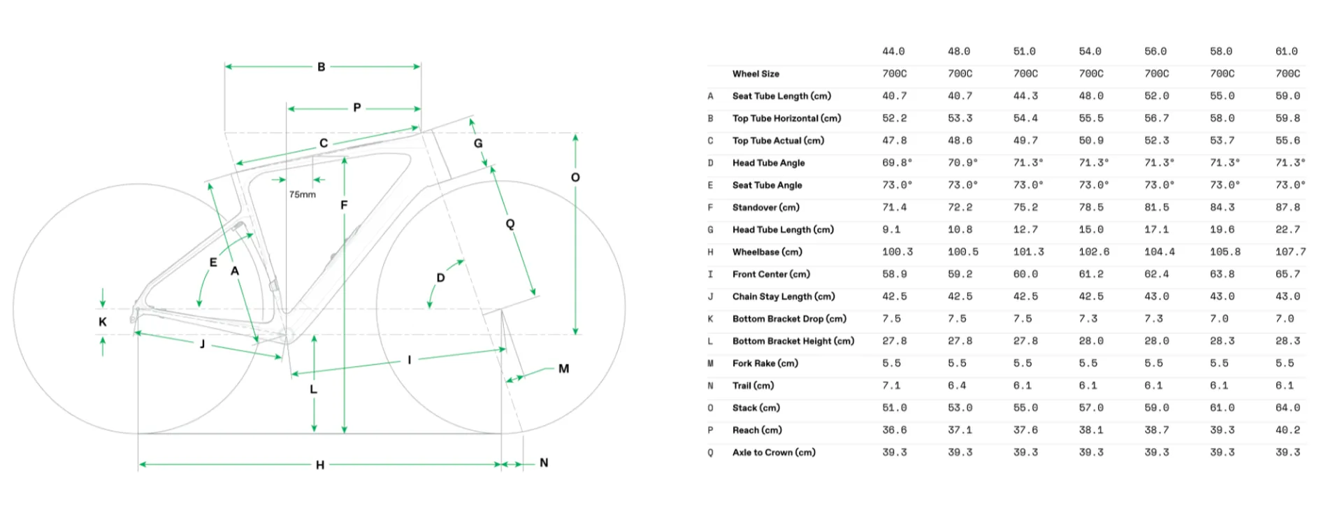 Synapse 25 Geometry