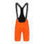 Q36.5 Gregarius PRO Bib Short : POPPY ORANGE