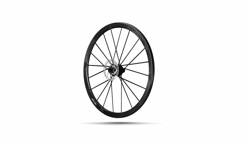 Lightweight Wegweiser EVO Tubeless Carbon Clincher DISC Wheels