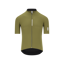 Q36.5 Dottore PRO Short Sleeve Jersey : DRAB GREEN
