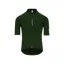 Q36.5 DOTTORE PRO Short Sleeve Jersey : FOREST GREEN