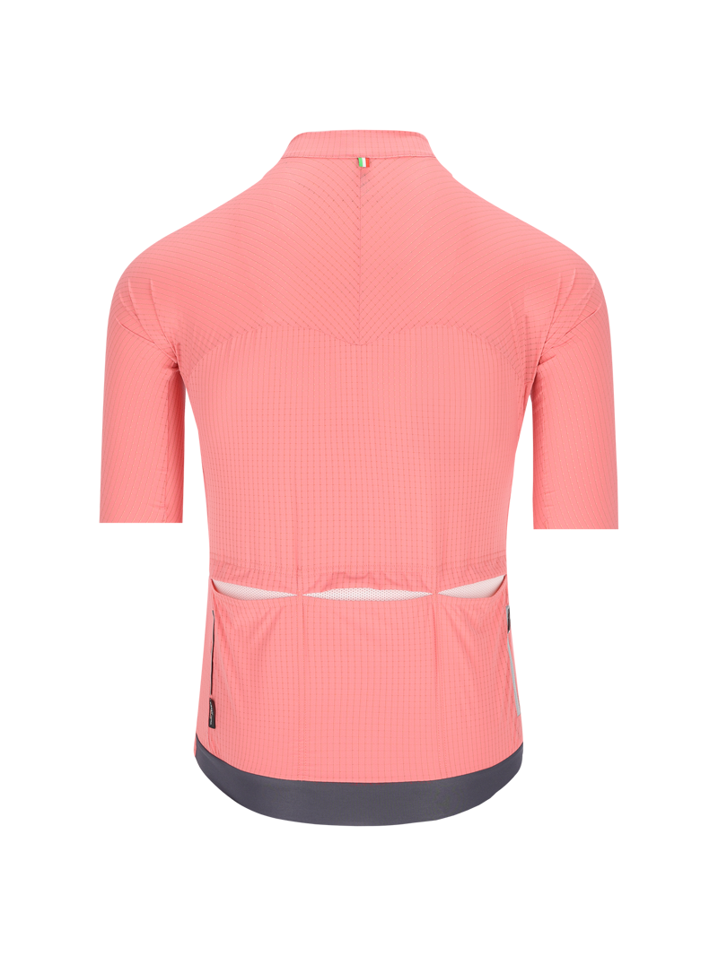 Q36.5 DOTTORE PRO Short Sleeve Jersey : GIRO PINK-1
