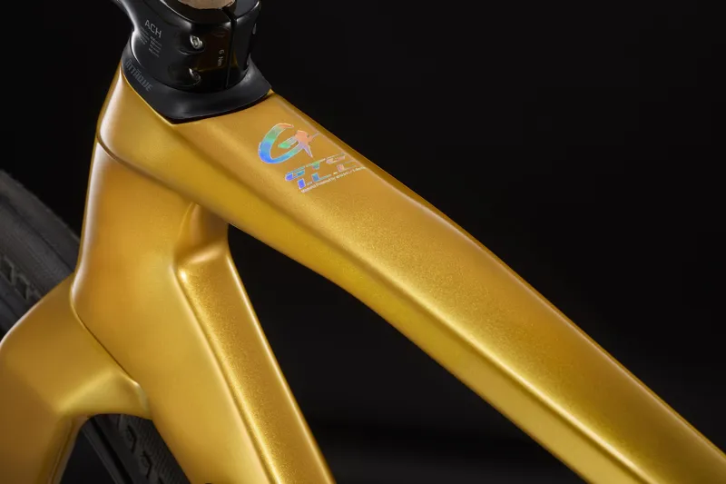 Gusto GTG PRO TE Gravel Bike : Team Gold-2