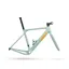 3T PRIMO 2 WPNT Frame : Sage GREEN