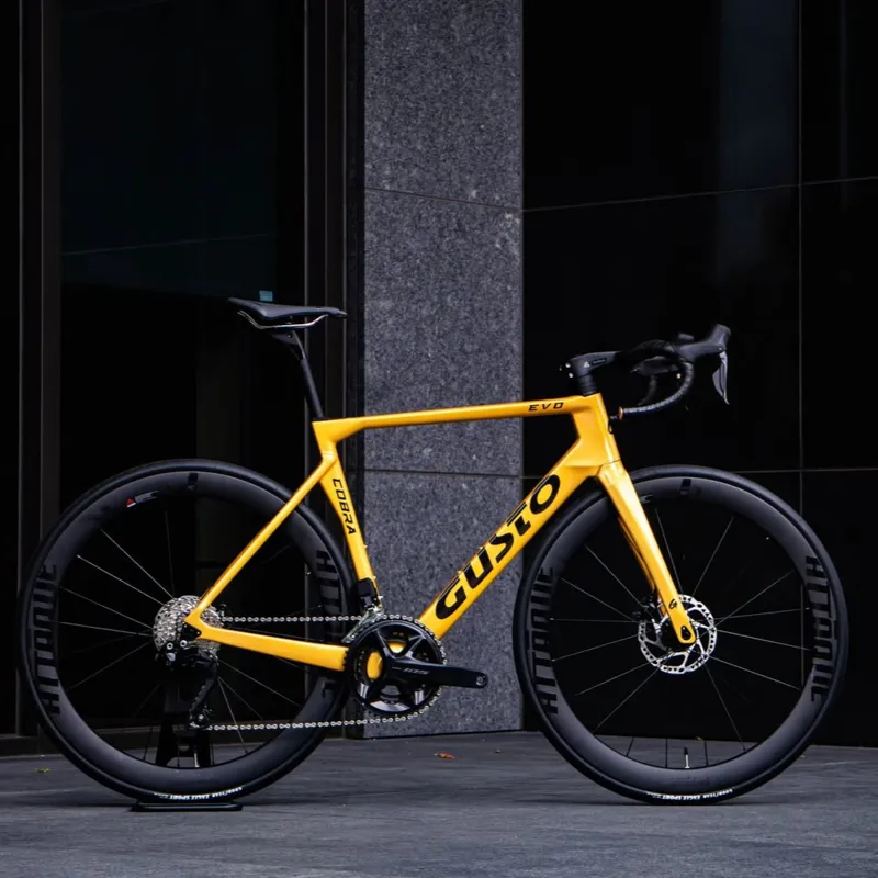 GUSTO Cobra EVO : Sport TE : Team Gold-2