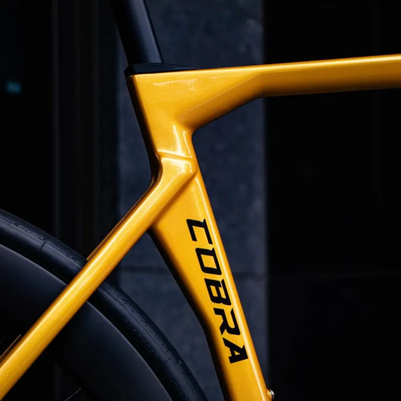 GUSTO Cobra EVO : Sport TE : Team Gold-3