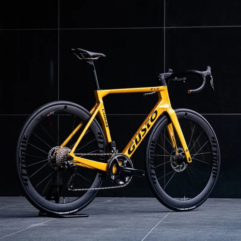 GUSTO Cobra EVO : Sport TE : Team Gold-5
