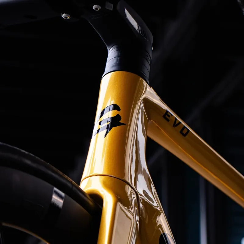 GUSTO Cobra EVO : Sport TE : Team Gold-6