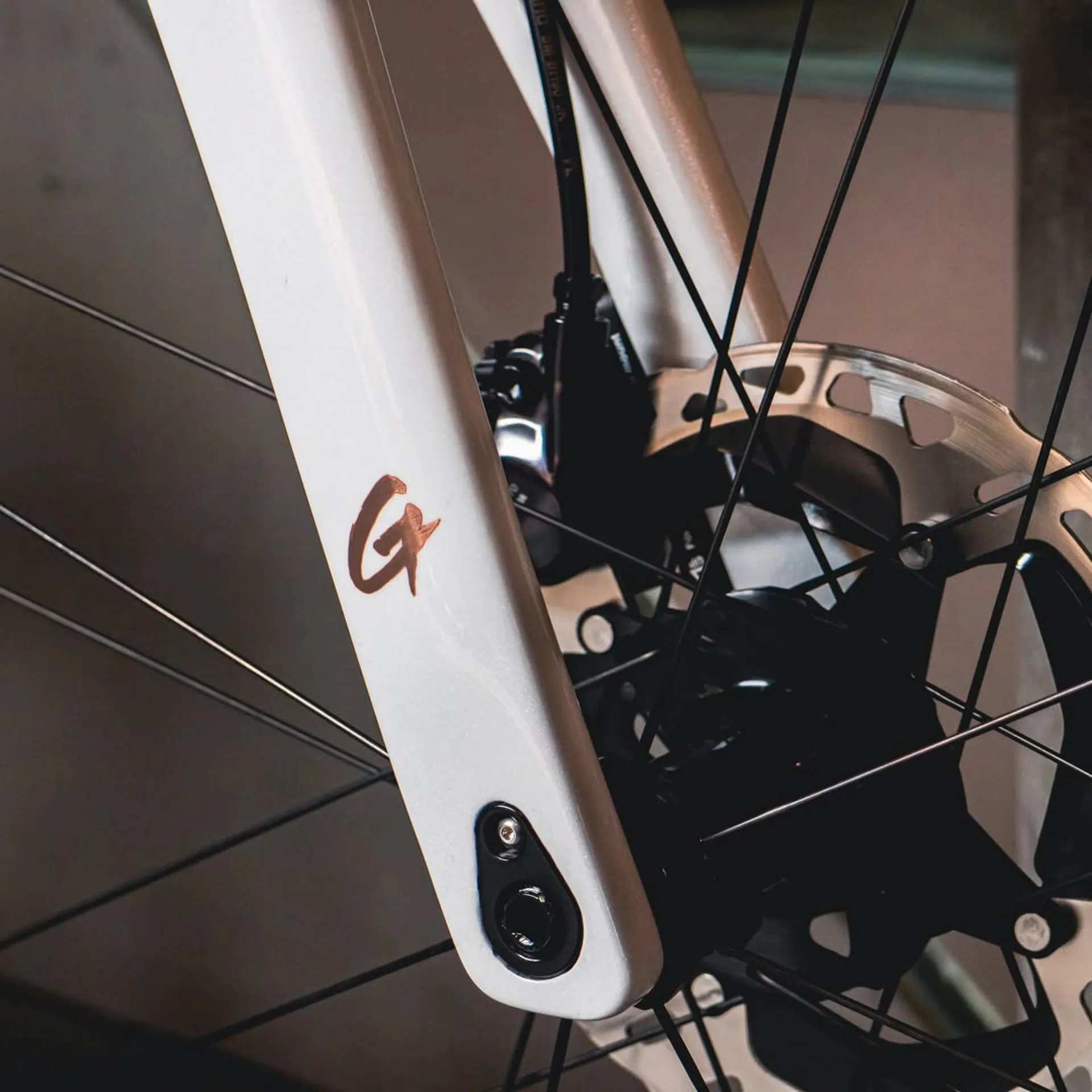 Gusto Cobra EVO Elite Ultra Carbon Road Bike with 105 in White