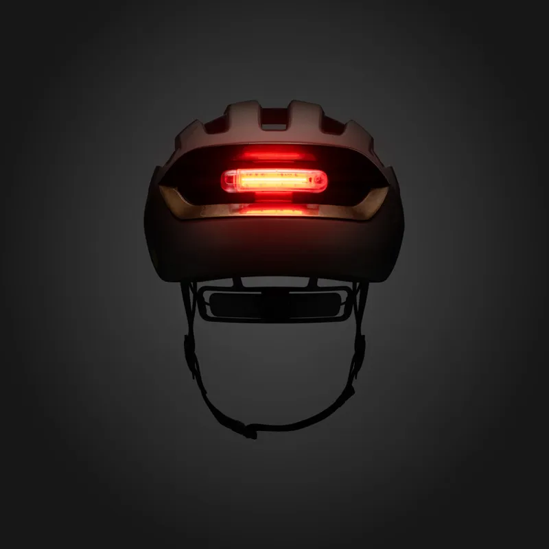 Fizik KUDO Helmet : BRONZE-7