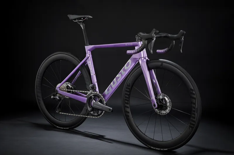 GUSTO Cobra EVO : Sport TE : Lavendar-1