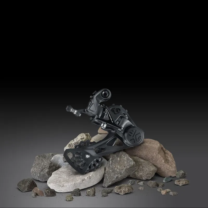 Campagnolo EKAR 13 Speed Gravel and All-Road Rear Derailleur