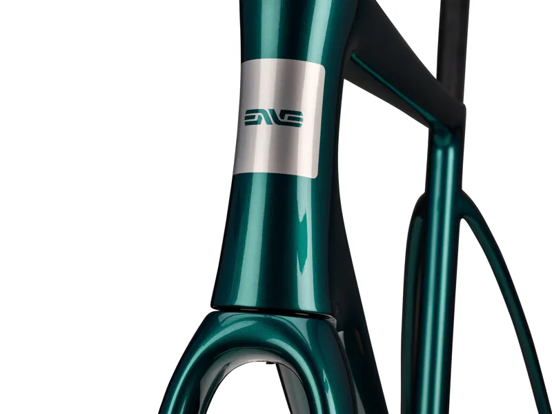 Enve FRAY All-Road Frame Kit : Agave-11