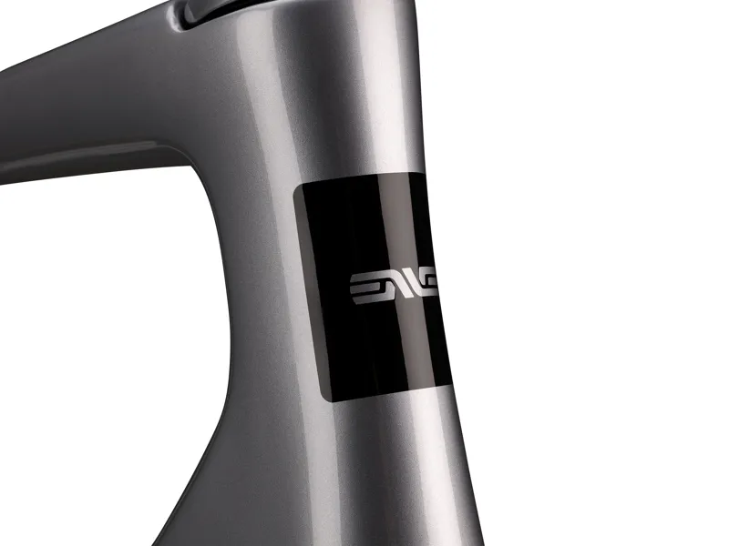 Enve FRAY All-Road Frame Kit : GT Silver-5