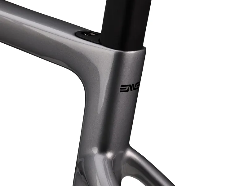 Enve FRAY All-Road Frame Kit : GT Silver-10