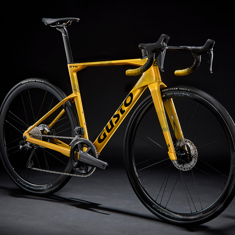 GUSTO GTR : SPORT TE : Team Gold