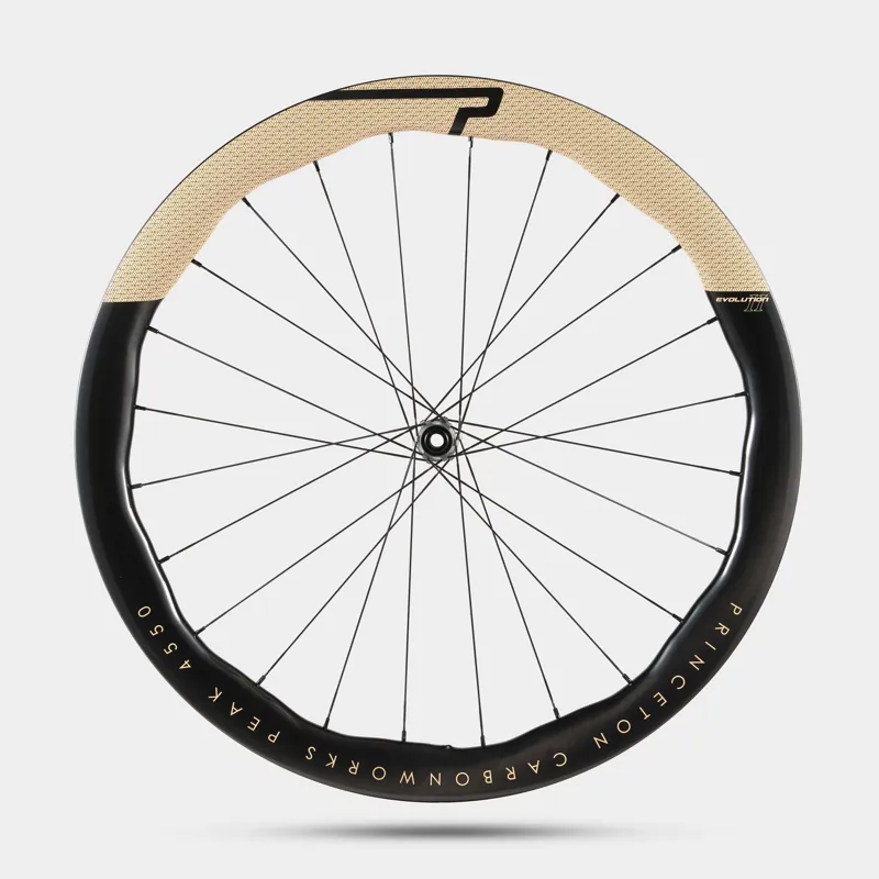 Princeton CarbonWorks PEAK 4550 EVO II : Gloss SAND : DT 240