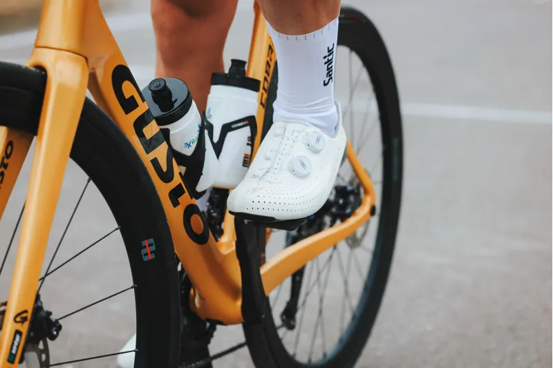 GUSTO Cobra EVO : Sport TE : Team Gold-8