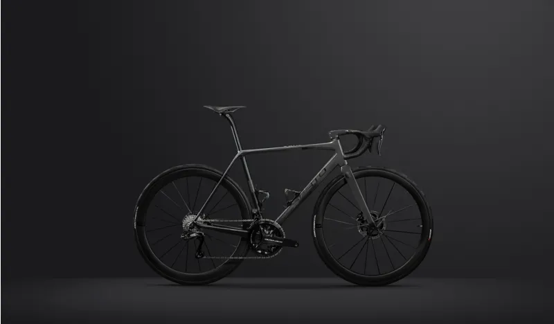 Sarto SETA PLUS Premium Carbon Road FRAME KIT : FLAVOURED-2