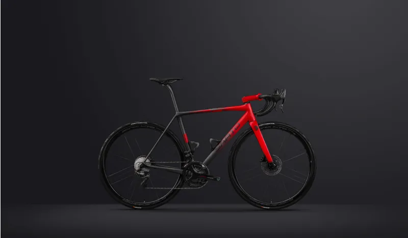 Sarto SETA PLUS Premium Carbon Road FRAME KIT : FLAVOURED-3