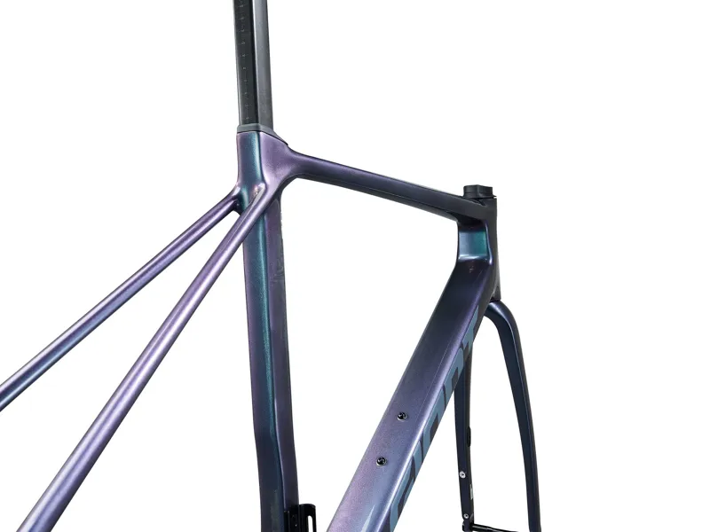 Giant TCR Advanced Pro Road Bike Frameset In Gloss Blue Dragonfly-1