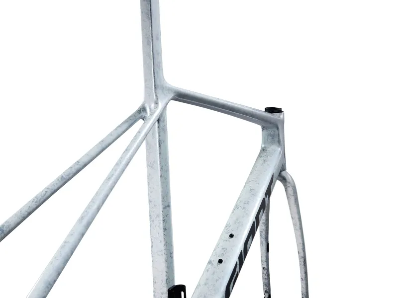 Giant TCR Advanced SL Road Bike Frameset In Opal Brushed Chrome-1