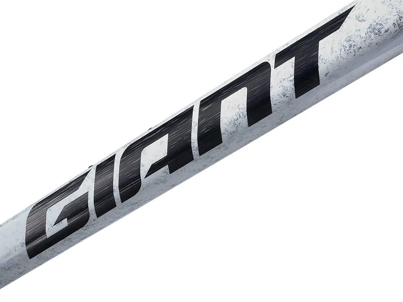 Giant TCR Advanced SL Road Bike Frameset In Opal Brushed Chrome-5