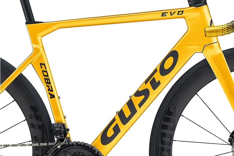 GUSTO Cobra EVO : Sport TE : Team Gold-9