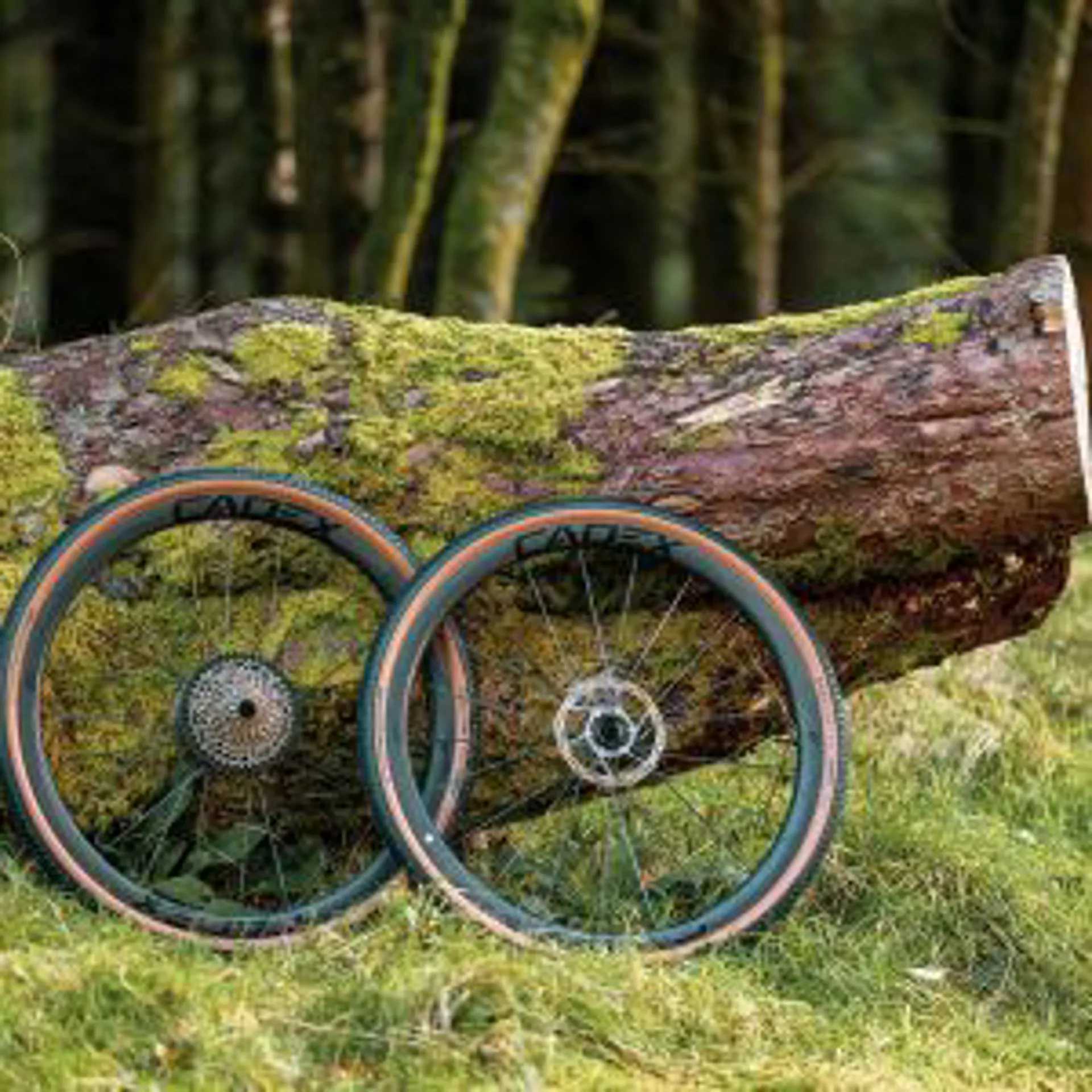 CADEX AR 35 Hookless Carbon GRAVEL Wheels : DISC