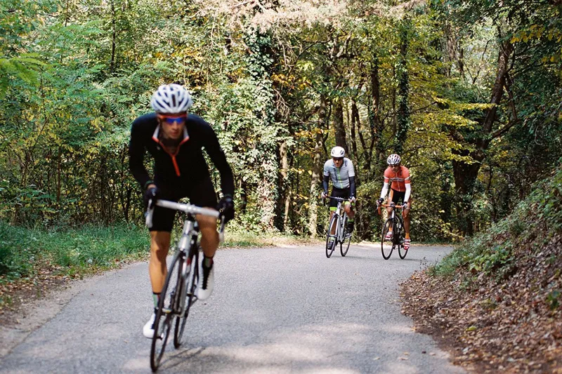 Q36.5 Summer Jersey : Mens Short Sleeve : Veloce Club Bolzano-8