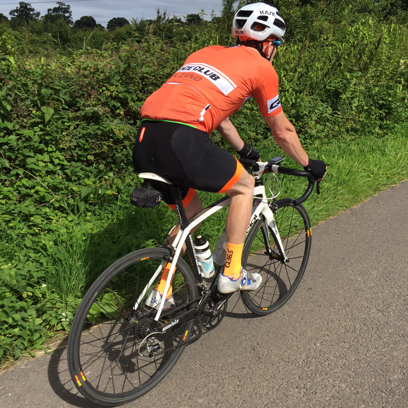 Q36.5 Summer Jersey : Mens Short Sleeve : Veloce Club Bolzano-2