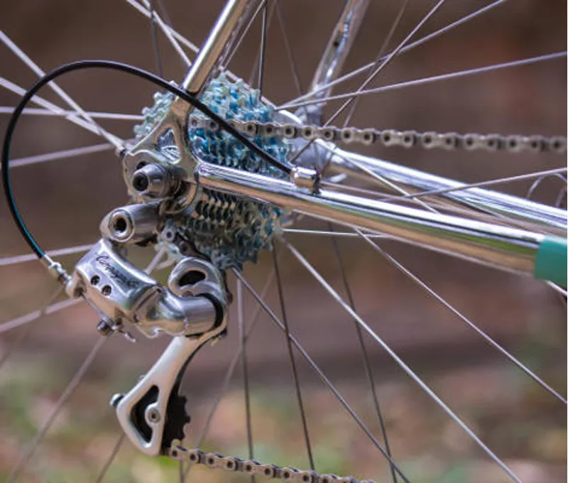 Bianchi LEroica Columbus Steel Vintage Road Bike : Campagnolo-9