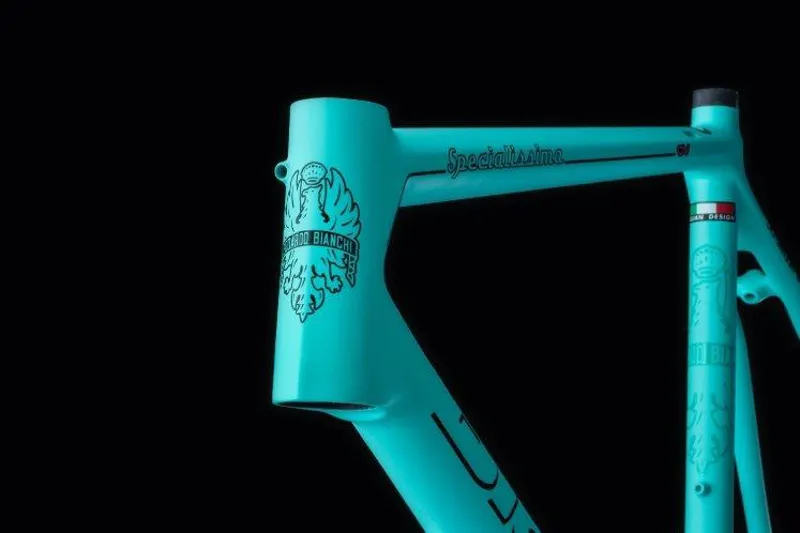 Bianchi Specialissima CV : FRAME : CK16 Celeste-8