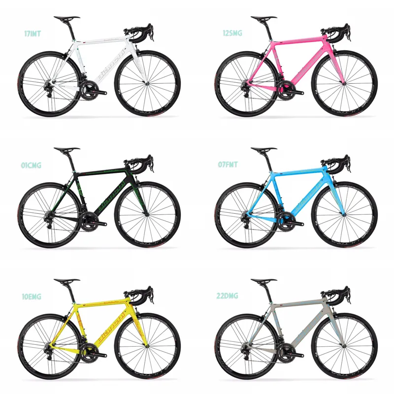 Bianchi Specialissima TAVOLOZZA Frame : Custom Colour FRAMESET-1