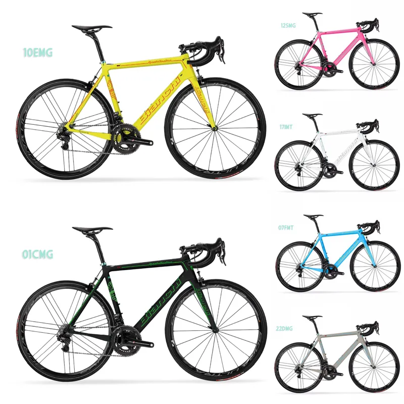 Bianchi Specialissima TAVOLOZZA Frame : Custom Colour FRAMESET