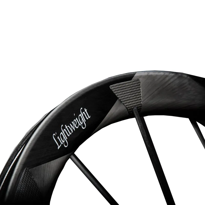 Lightweight Wegweiser Disc Brake Carbon Clincher Wheels-1