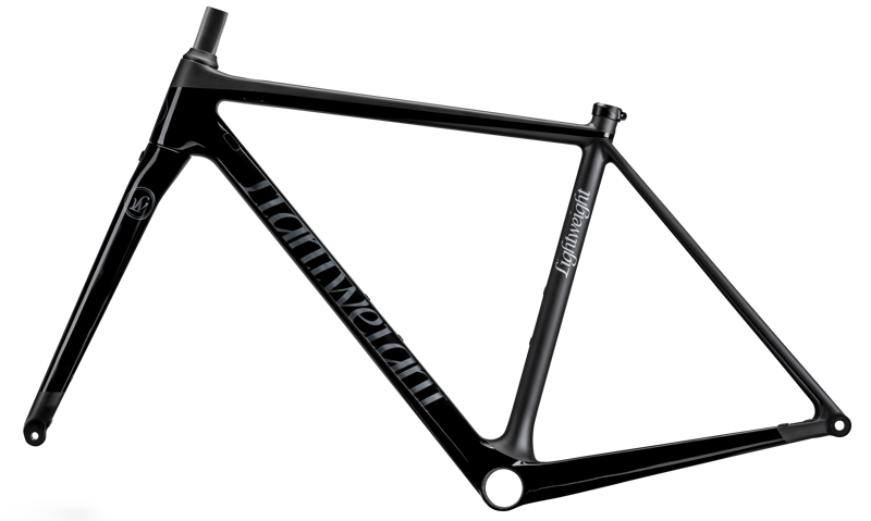 Lightweight Urgestalt DISC Carbon Road Bike FRAME : BLACK-2