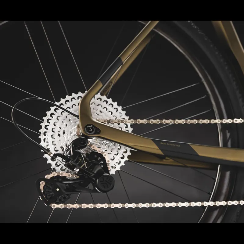 2023 Basso PALTA II Gravel Bike : EKAR + All Road : Gold Burn-3