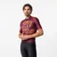 Castelli Stratus Logo Jersey in Bordeaux / Winter Sky