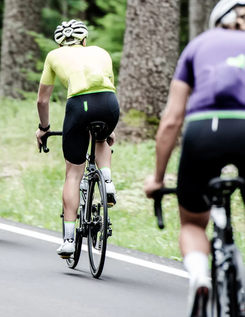 Q36.5 Gregarius PRO Bib short : Black-6