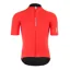 Q36.5 Pinstripe PRO Short Sleeve Jersey : RED