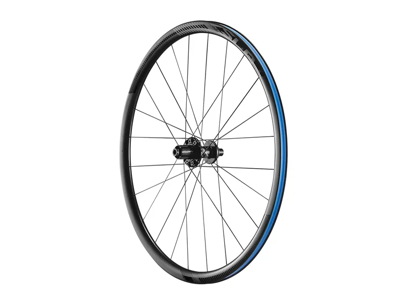2019 Giant SLR 0 Disc Carbon Climbing Rear Wheel